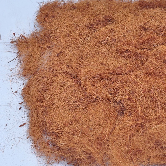 Hot Selling Coco Coir Fibre Grow Poles, Sticks