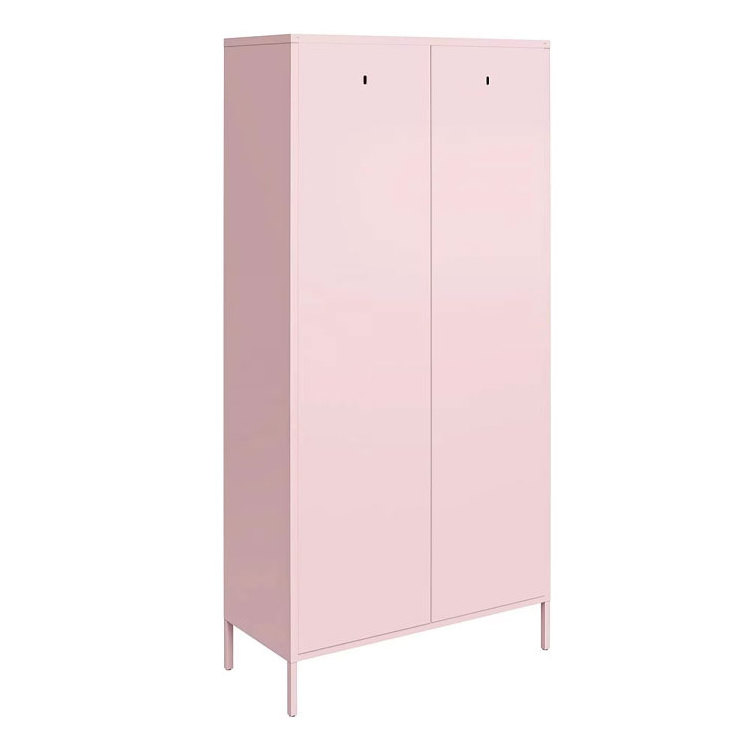 home bedroom furniture almirah wardrobe public gym school dorm clothes storage cupboard 2 door metal lockers steel cabinet