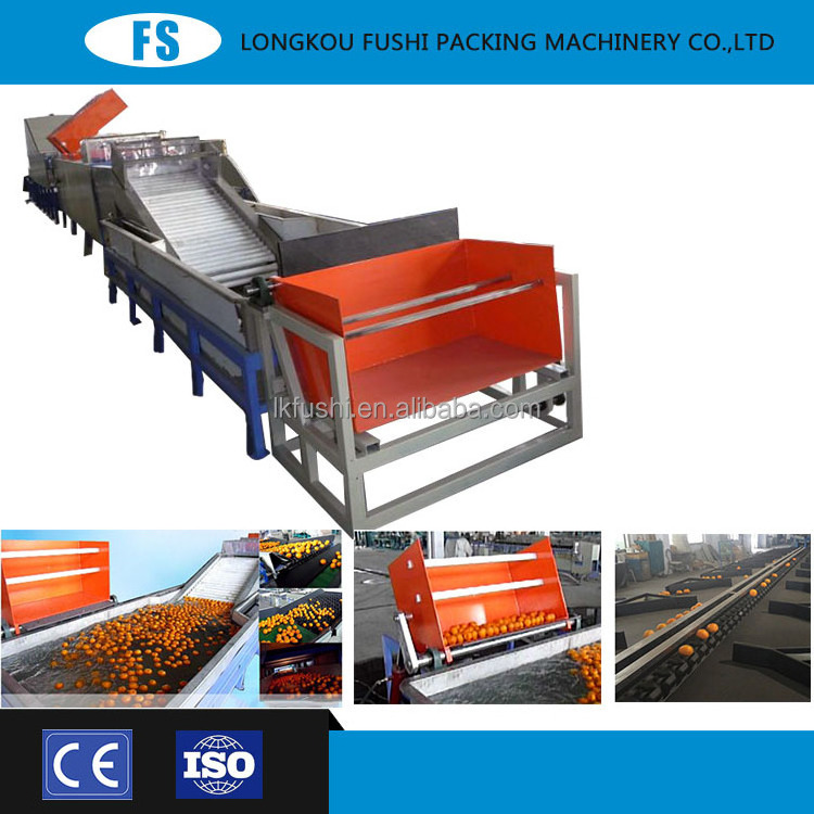 fruit sorting machine/mango sorting machine/citrus fruit sorting machine