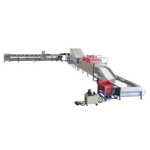 fruit sorting machine/mango sorting machine/citrus fruit sorting machine