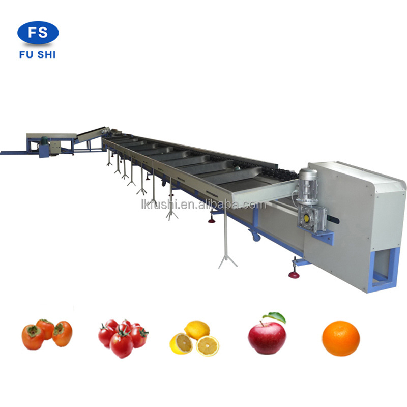 fruit washing grading machine for apple/kiwi/lemon/mandarin/mango/orange/peach/pear/plum/tomato/potato