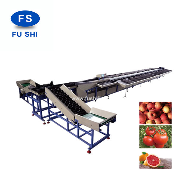 FUSHI lemon apple orange fruit sorting washing drying waxing machine