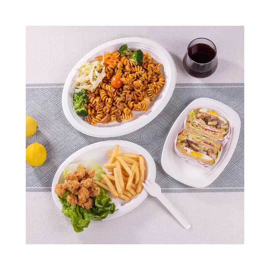 Biodegradable sugarcane bagasse plates with compartment for Pizza hamburger noodles disposable food grade plates