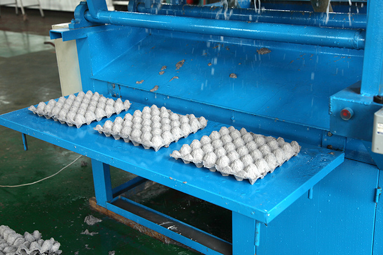 HONGRUN Advanced Technology Paper Pulp Molding Egg Tray Machine