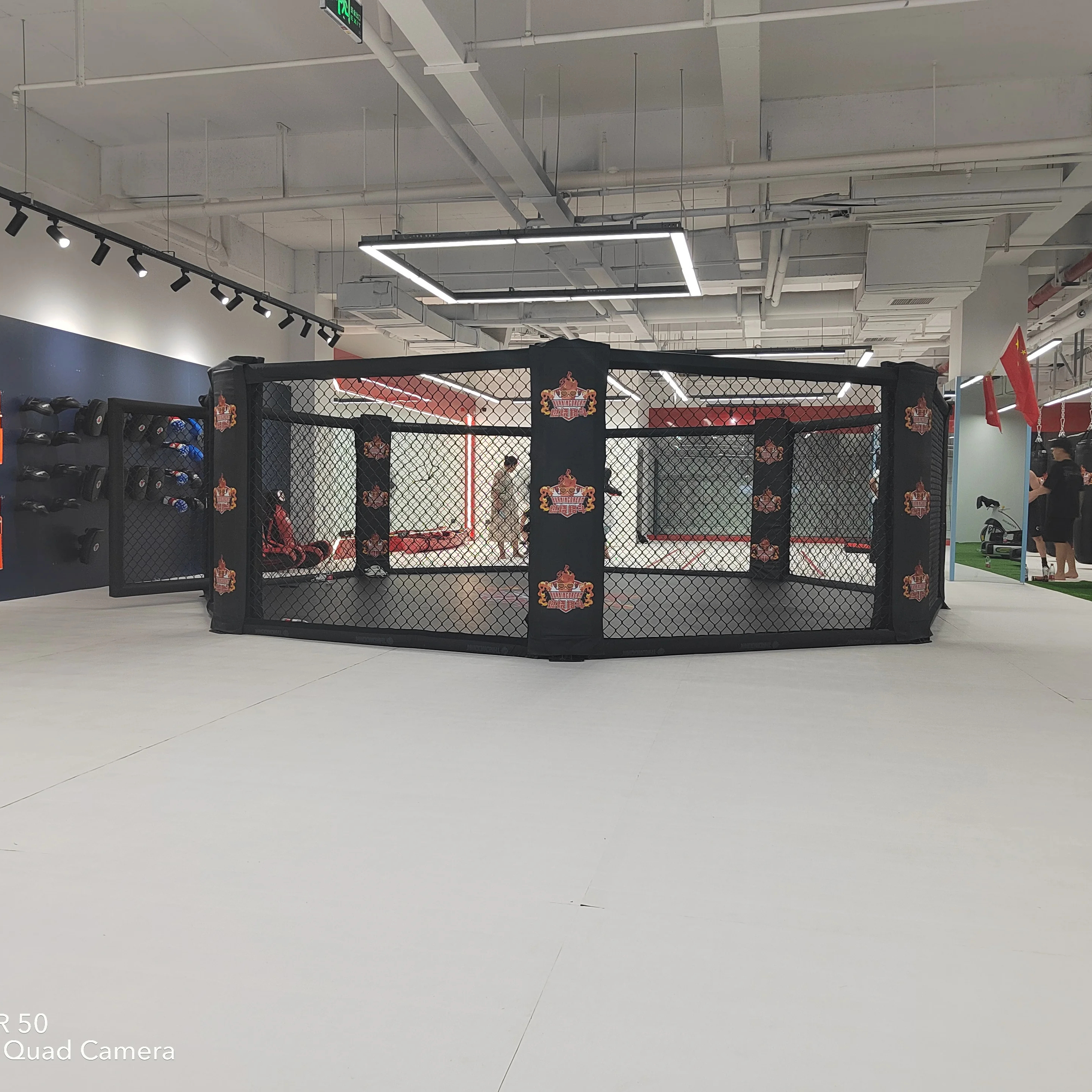 Customer Logo Fighting MMA Cage Octagon Canvas Cover Boxing Ring