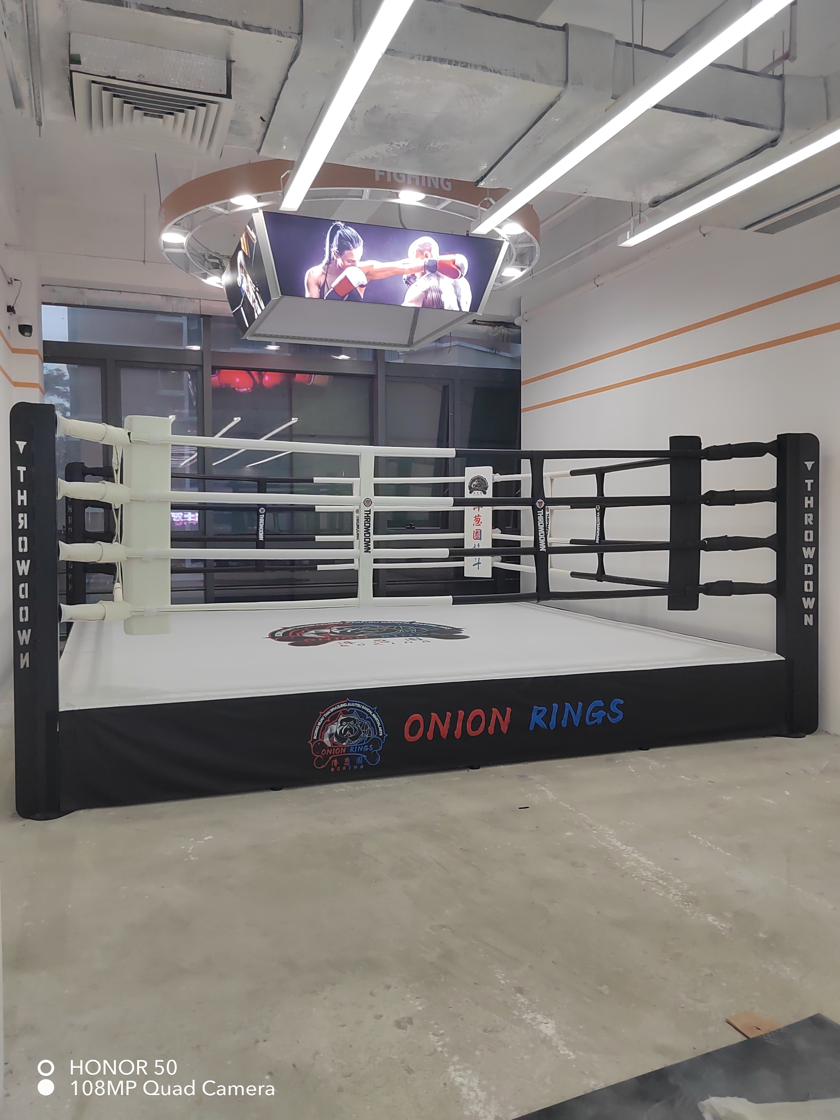 Customer Logo Fighting MMA Cage Octagon Canvas Cover Boxing Ring