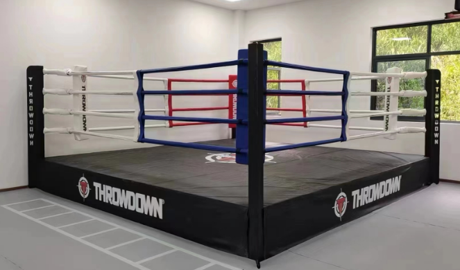 Customer Logo Fighting MMA Cage Octagon Canvas Cover Boxing Ring