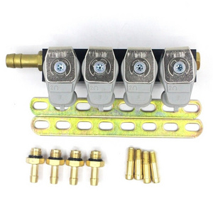 IG1 Type 4-Cylinder 2-Ohm CNG Injector Rail for Autogas Kits