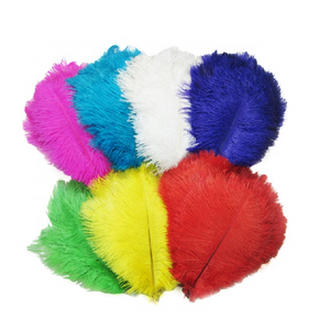 Wholesale Mixed Color High quality Fashion Style Decorative Ostrich Feather