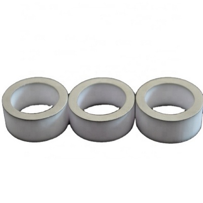 XTL sintyron Ceramic tube Parts Ceramic Metallizing Surface Metallized 95 Alumina Ceramic Parts