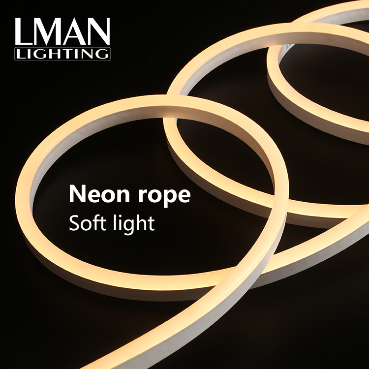 OEM ODM Silicone Extrusion Neon Rope 110V 127V 220V 260V Outdoor IP65 Waterproof 120leds/m SMD 2835 Led Strip Light