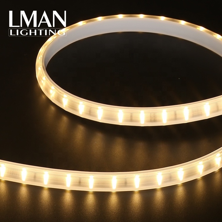 Ultra-Thin OEM ODM Outdoor Waterproof IP65 SMD 2835 120leds/m AC 110V 220V strip led tape light