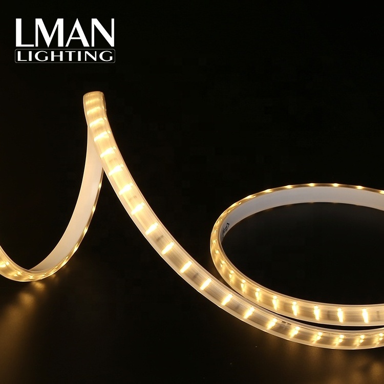 Ultra-Thin OEM ODM Outdoor Waterproof IP65 SMD 2835 120leds/m AC 110V 220V strip led tape light