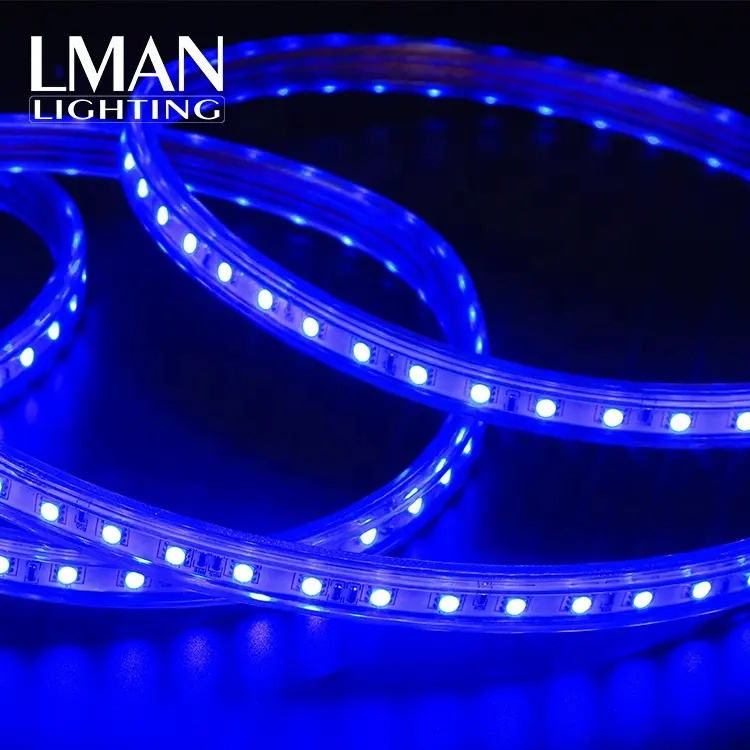 Outdoor Ip65 Waterproof 220V Color Changing 60 led/M RGB 5050 SMD Rgb Led Strip Light