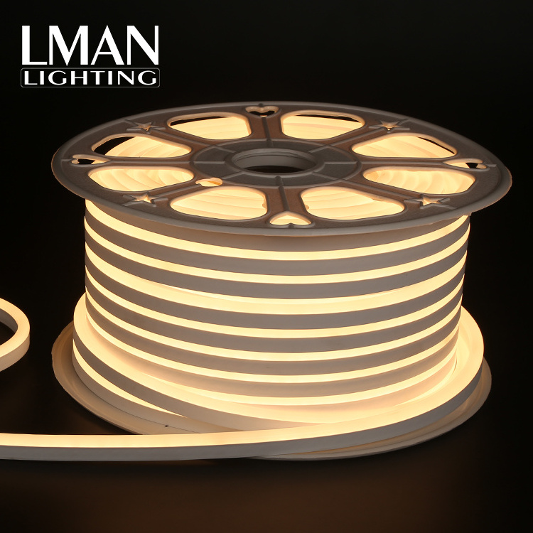 OEM ODM Silicone Extrusion Neon Rope 110V 127V 220V 260V Outdoor IP65 Waterproof 120leds/m SMD 2835 Led Strip Light