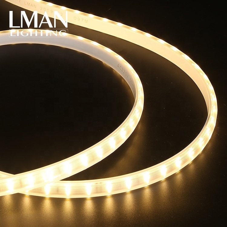 Ultra-Thin OEM ODM Outdoor Waterproof IP65 SMD 2835 120leds/m AC 110V 220V strip led tape light