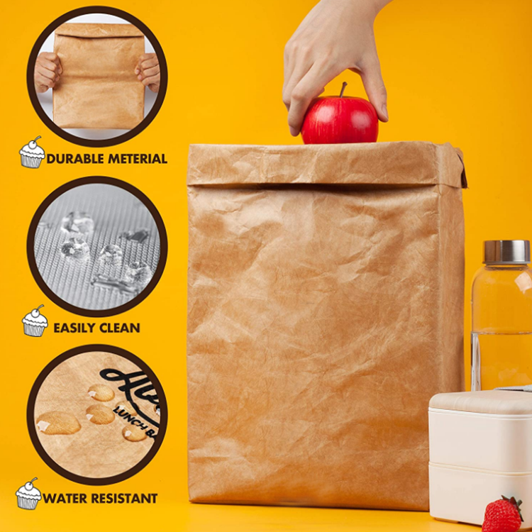 Cheap Factory Custom Tyvek Portable Foldable Kraft Paper Cool Lunch Bag Waterproof Dupont Paper Bag