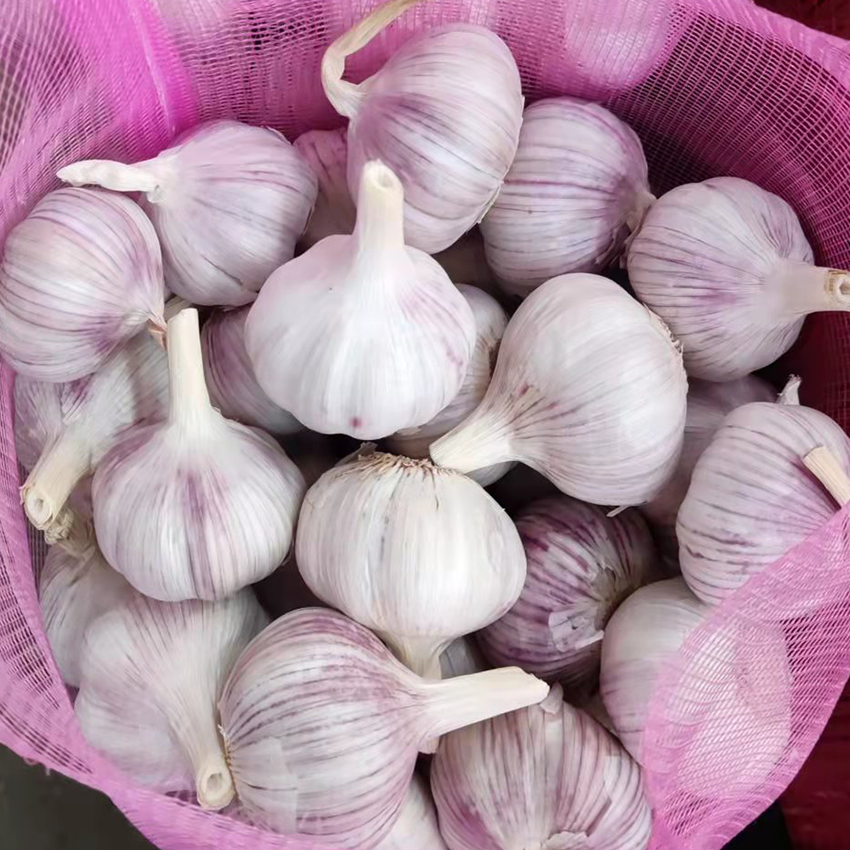 2024 pure white fresh garlic/alho/Ail/ajo 3P small packing