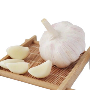 2024 Chinese Garlic Red Garlic Fresh Garlic / Alho from China