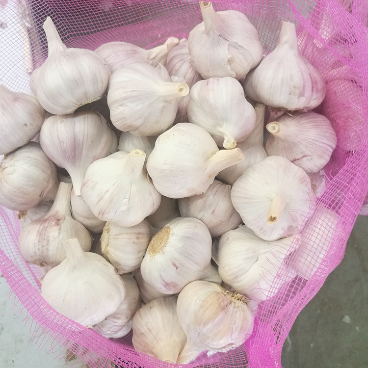 2024 Fresh White Garlic /Alho from Jin Xiang Liming