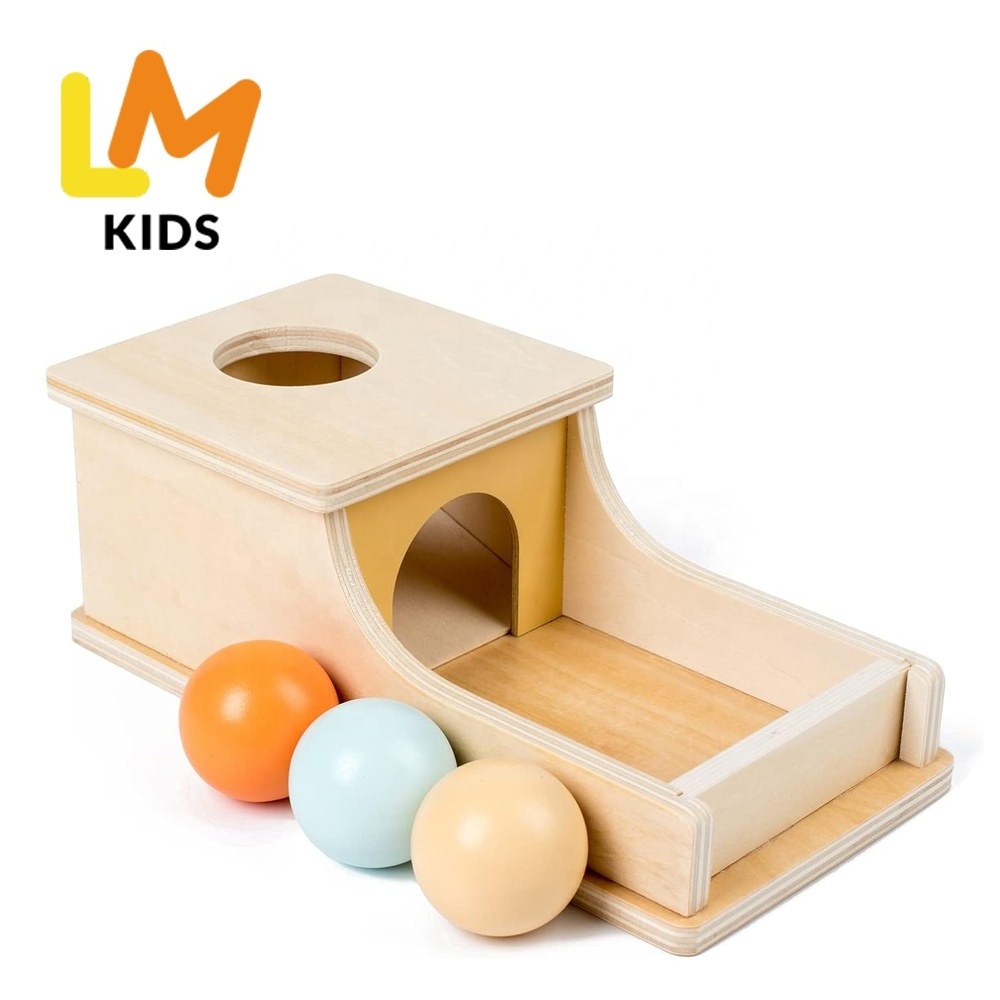 LM KIDS Montessori Toys for Babies 6-12 Months Box Wooden Ball Drop Toy Play