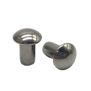 Rivets Manufacturer Solid Brass Stainless Steel Copper Aluminium Rivet With Competitive Price