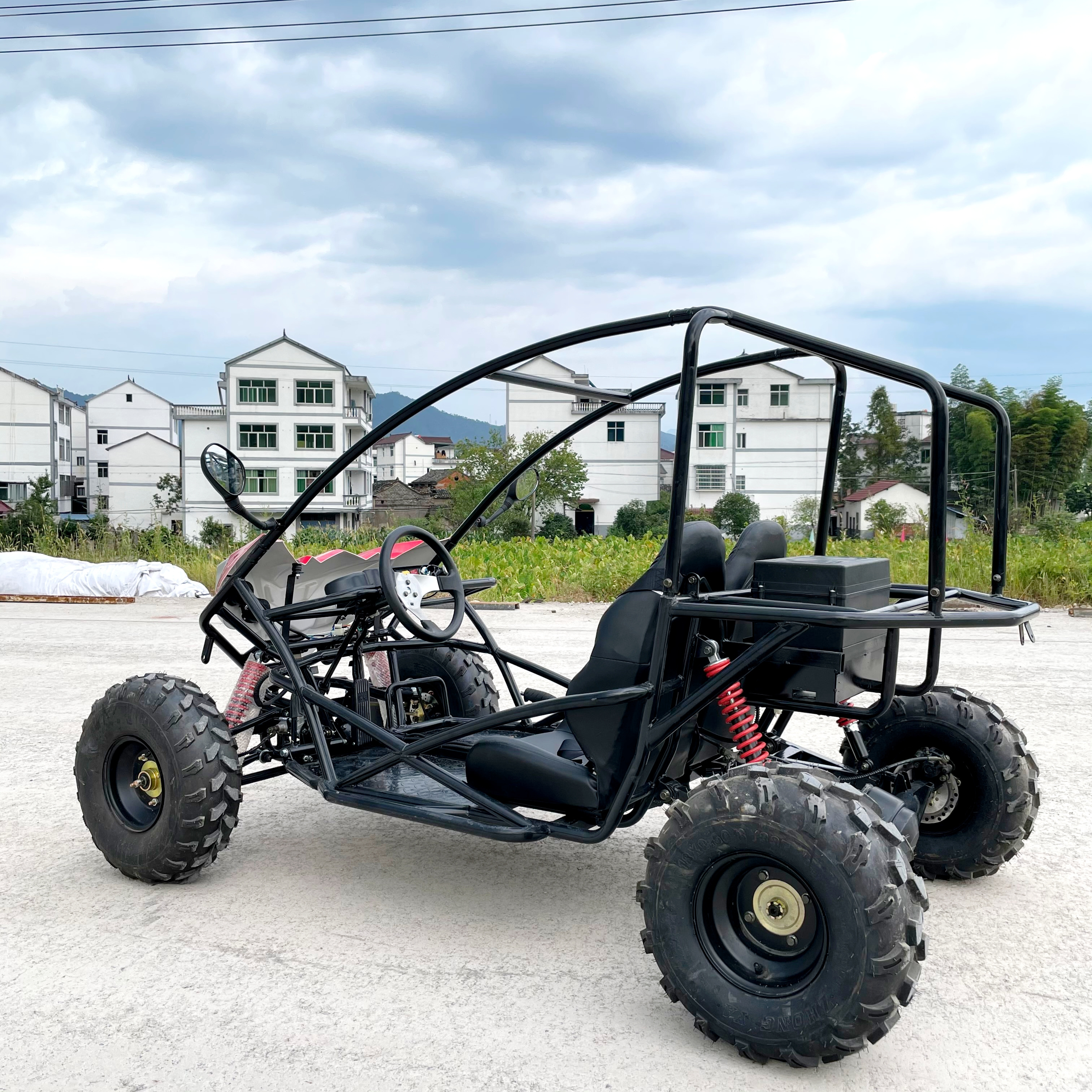 LNA premium edition 1500w buggy off road electric