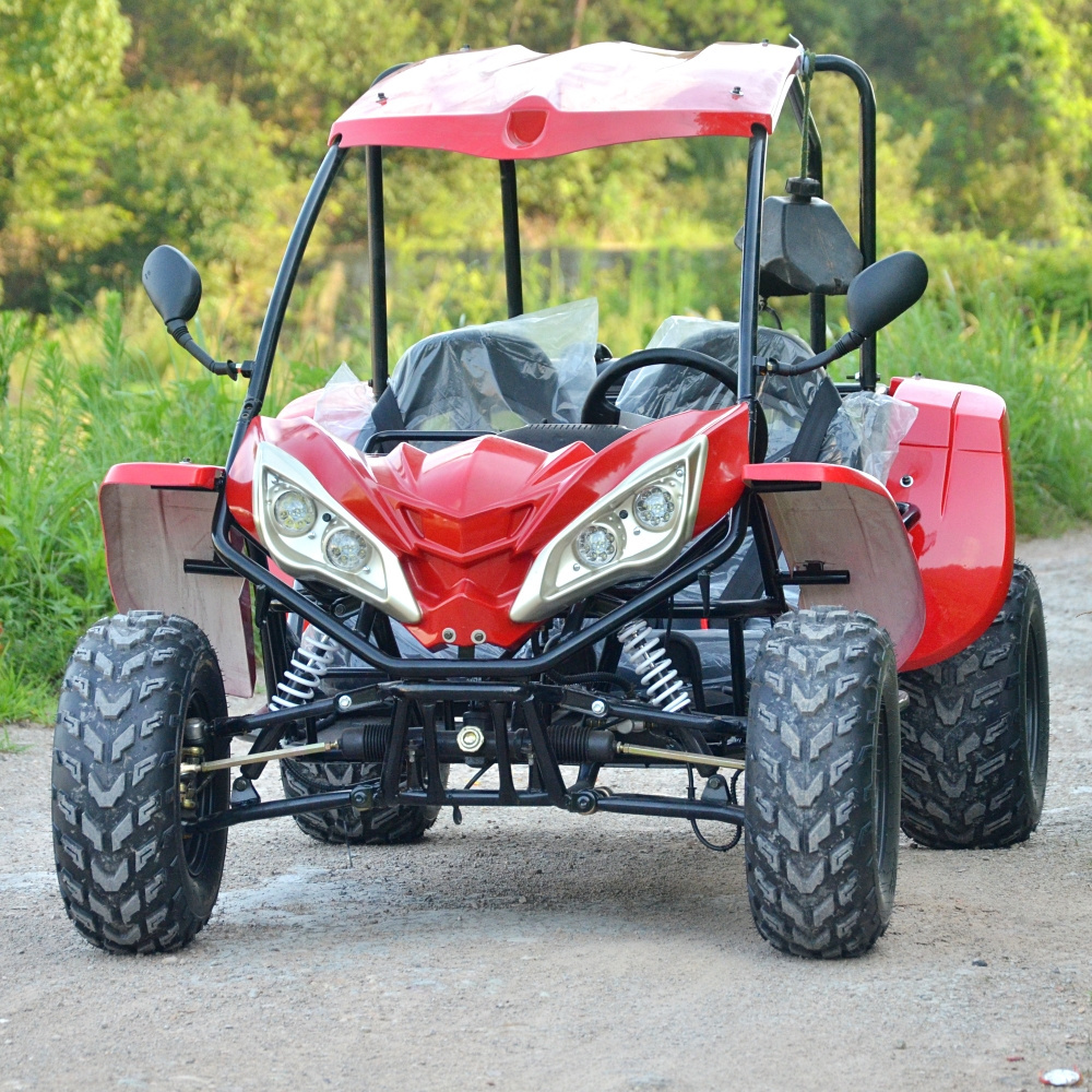 LNA its desirable 200cc offroad go karts