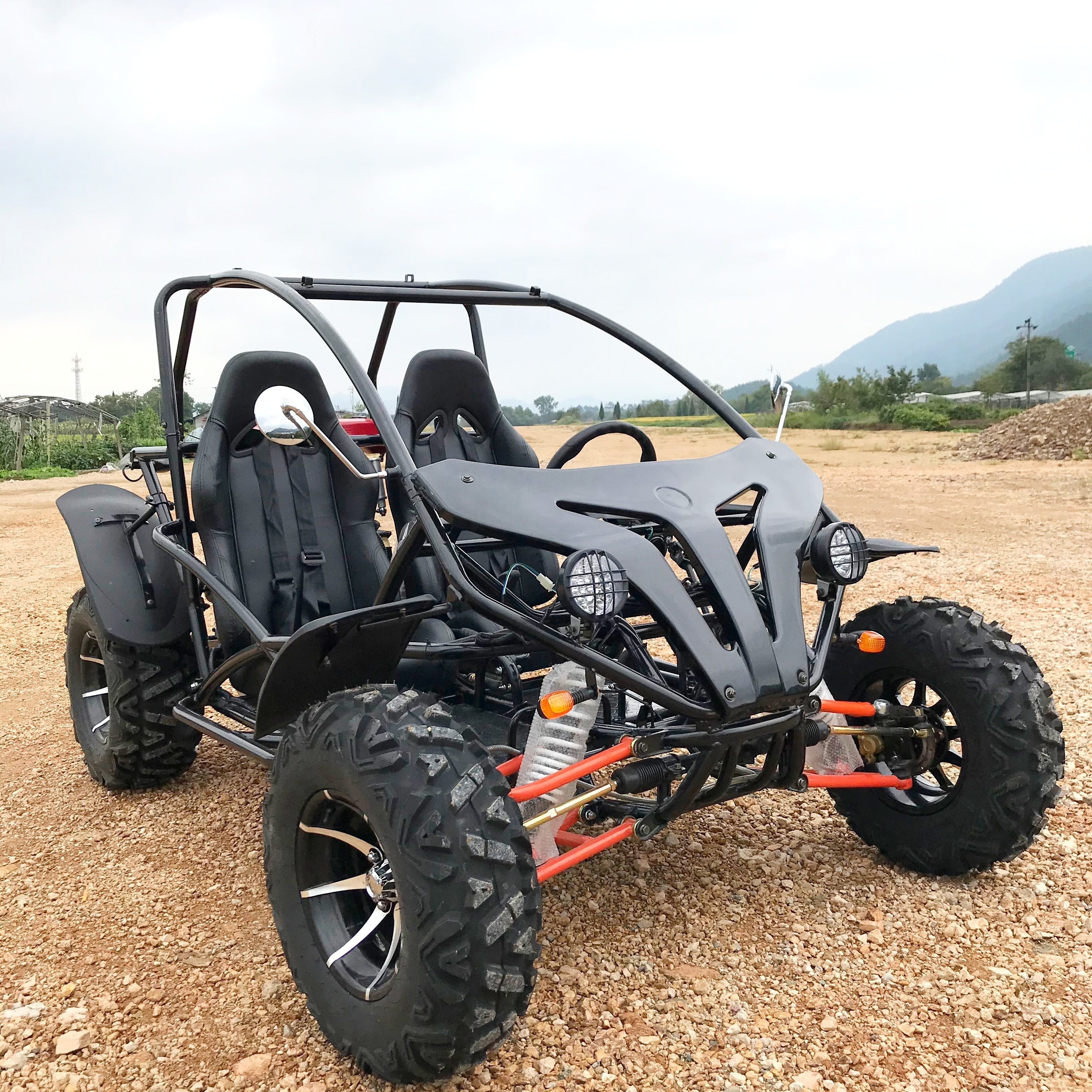 LNA stable engine 200cc motorcycle powered dune buggy