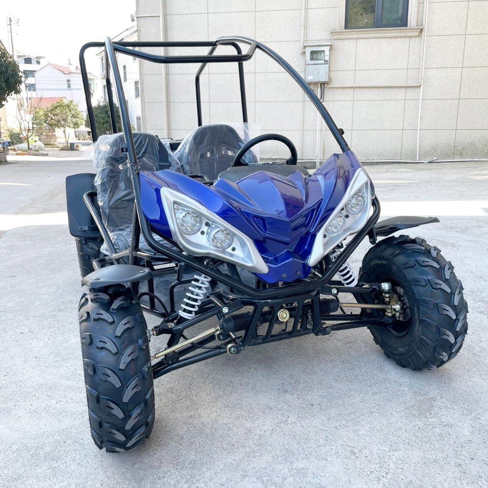 LNA lovely enjoyable 2000w electric go kart drift