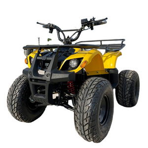 LNA confident riding 1200w mini 4 wheeler atv for kids