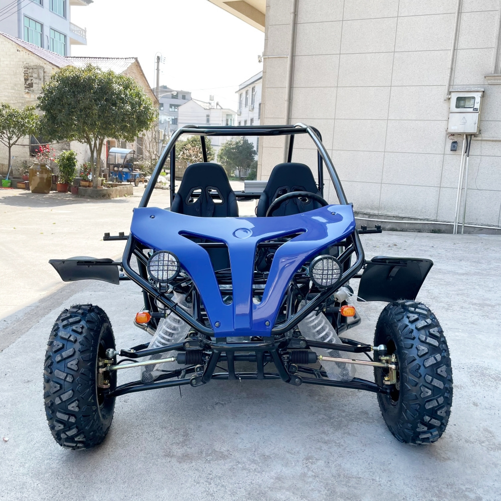 LNA made people smile 5000w electric utv adult