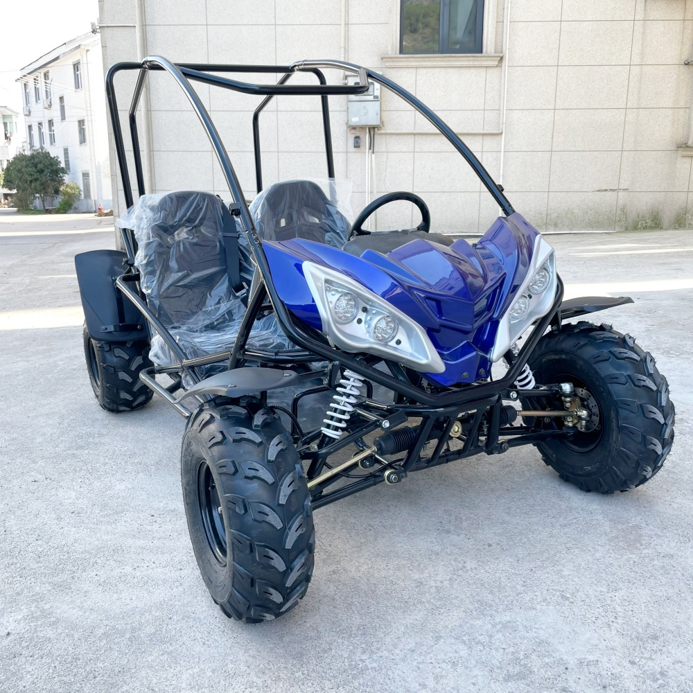 LNA lovely enjoyable 2000w electric go kart drift