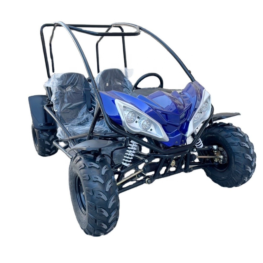 LNA nice and wide 2000w electric utv buggy