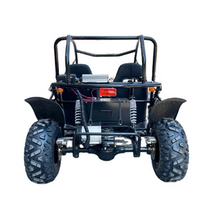 LNA best one yet 5000w adult electric utv