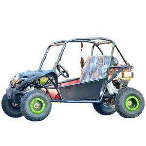 LNA straight body 200cc 2 seater go kart for adult