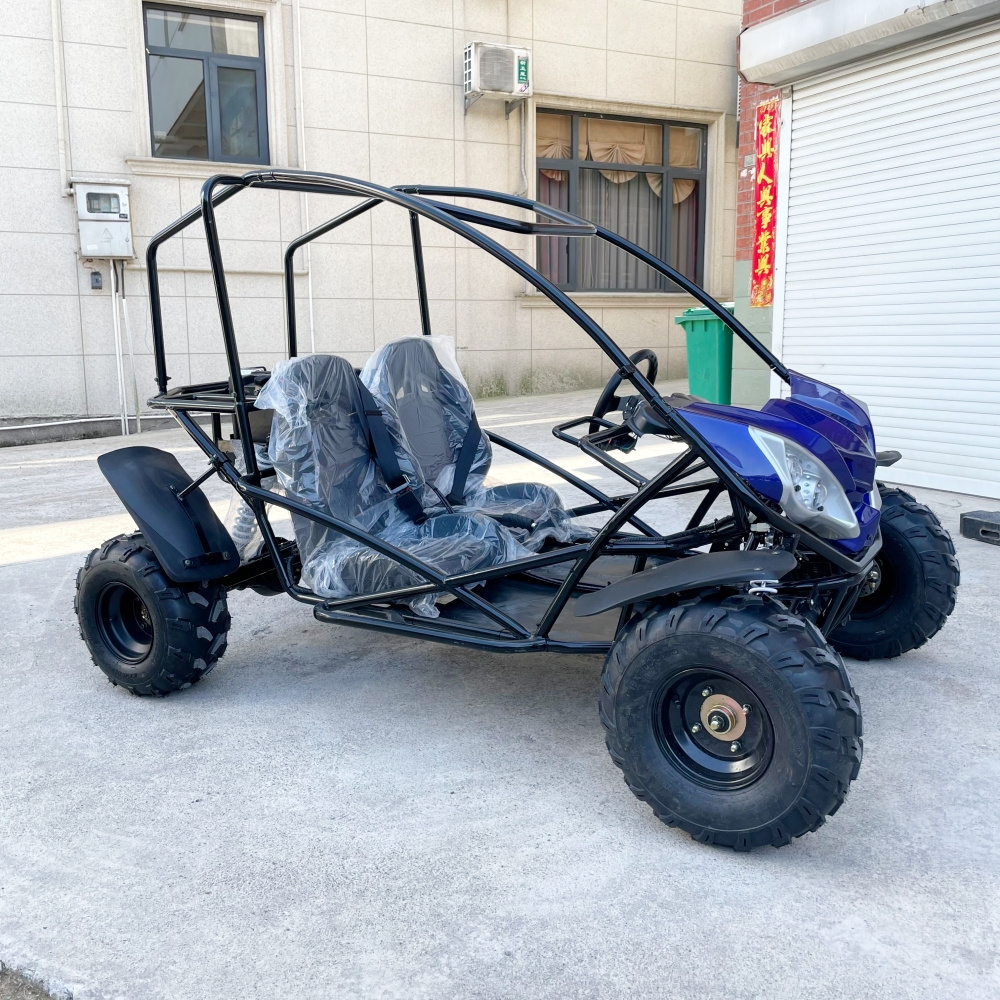 LNA lovely enjoyable 2000w electric go kart drift