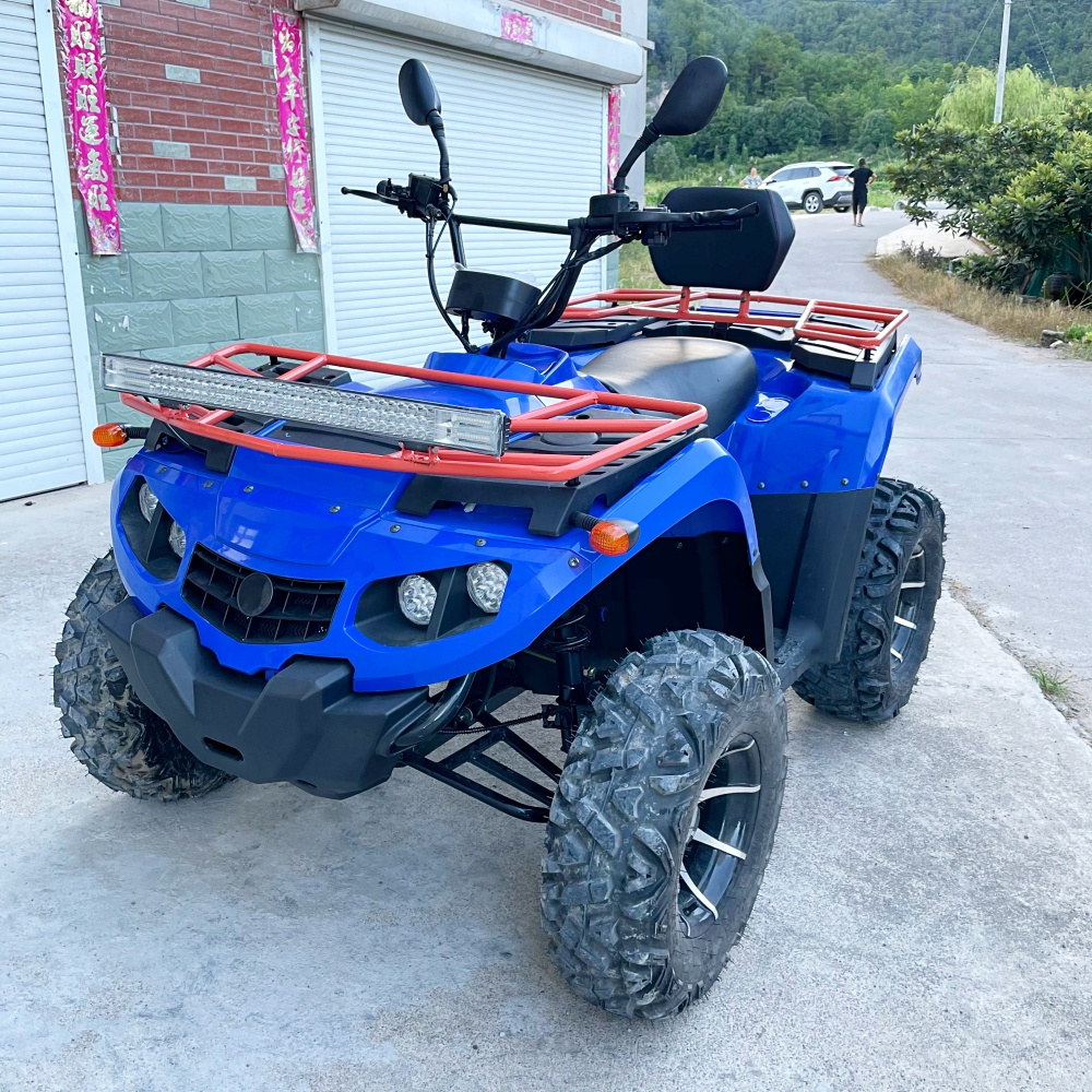 LNA very capable 250cc racing atv