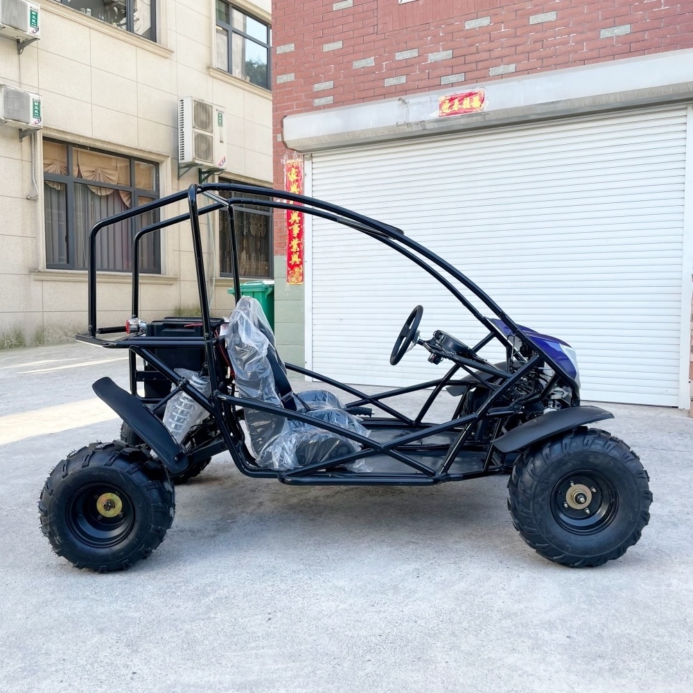 LNA nice and wide 2000w electric utv buggy