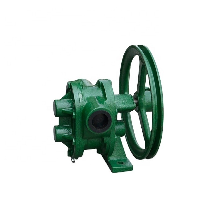 BP belt pulley driven pump diesel gear oil pump