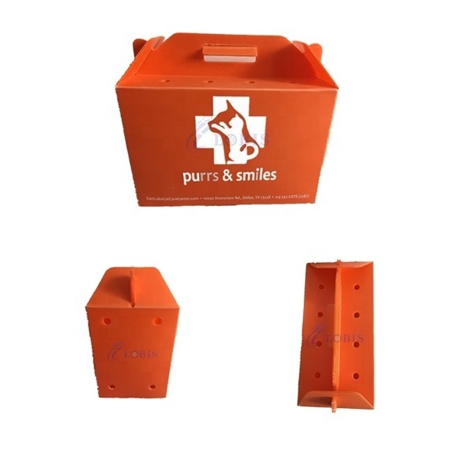 Customized pet cardboard carrier box