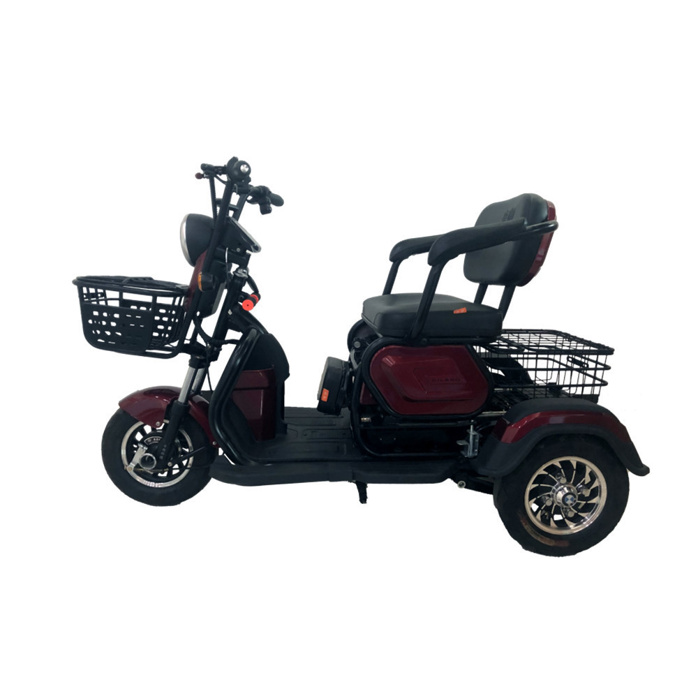 China Low Price Electric Bicycle Tricycles With Back Brace Customized Electric Rickshaw Tricycle Car Japanese Electric Tricycle