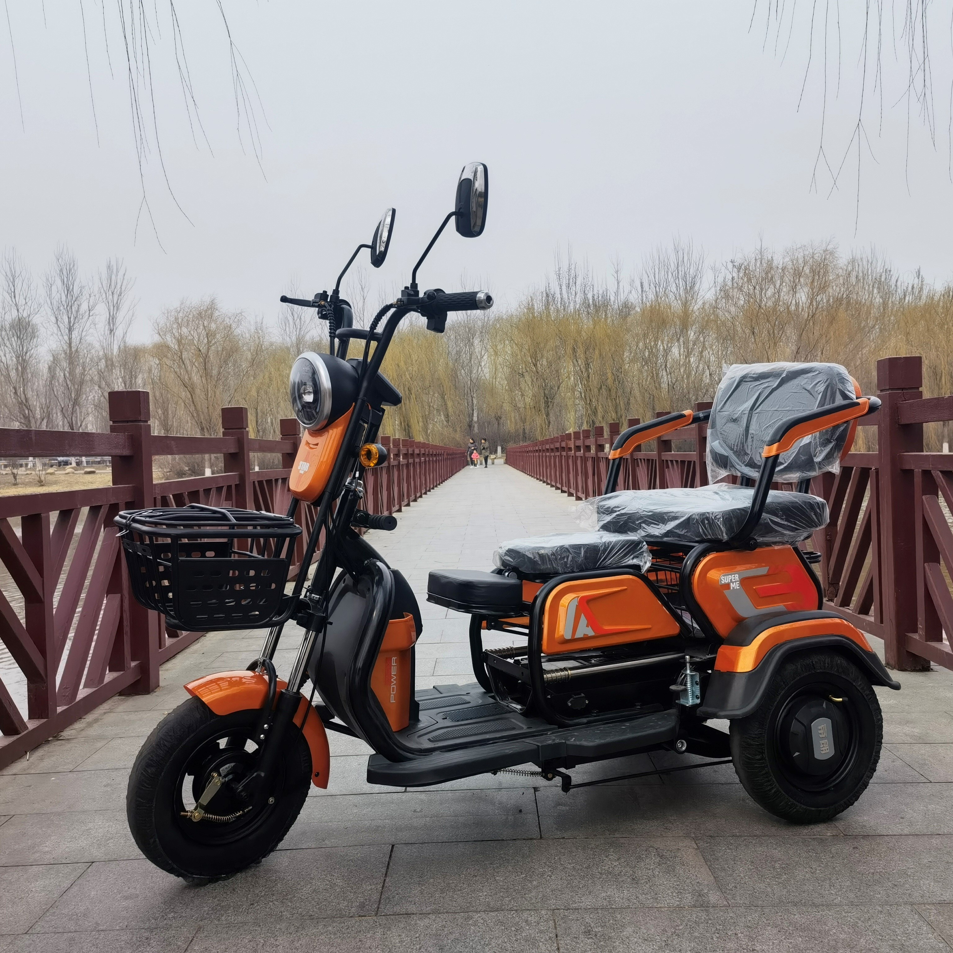 Three Wheeler Heavy Loading Adult 500W Motor Bicycle City Cargo Electric Tricycle for Old Elderly People