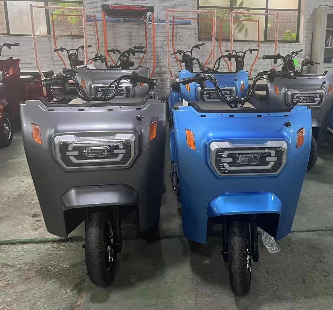 Passenger Electric Tricycle Three Wheel Bicycle for Adult Electric Scooter Taxi with Roof