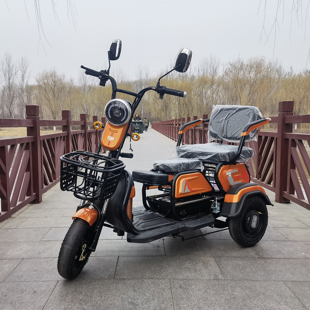 Adult Electric Tricycles for Sale /China Fat Tire Electric Trike Electricos/Cheap Electric Trike Cargo t e Trike for Sale