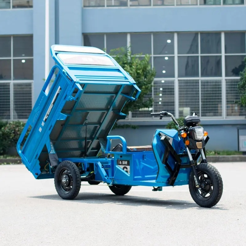 New Product 1000W Delivery Electric Cargo Tricycle Three Wheel Electric Tricycle Cargo Truck Motorcycle 3 Wheel