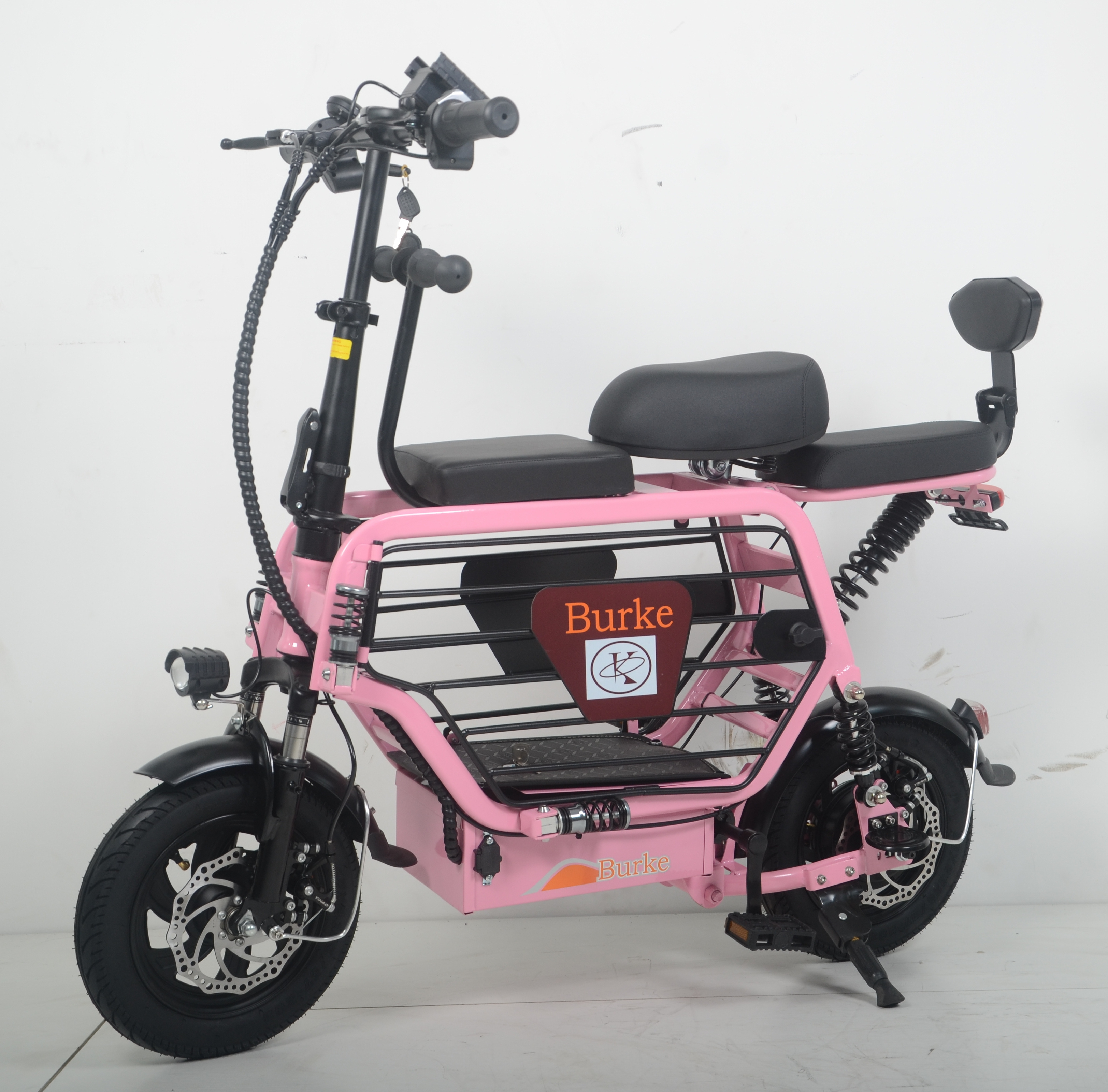 Long range Lithium Battery Electric Bicycle New Style City Electric Bike with Pet Basket