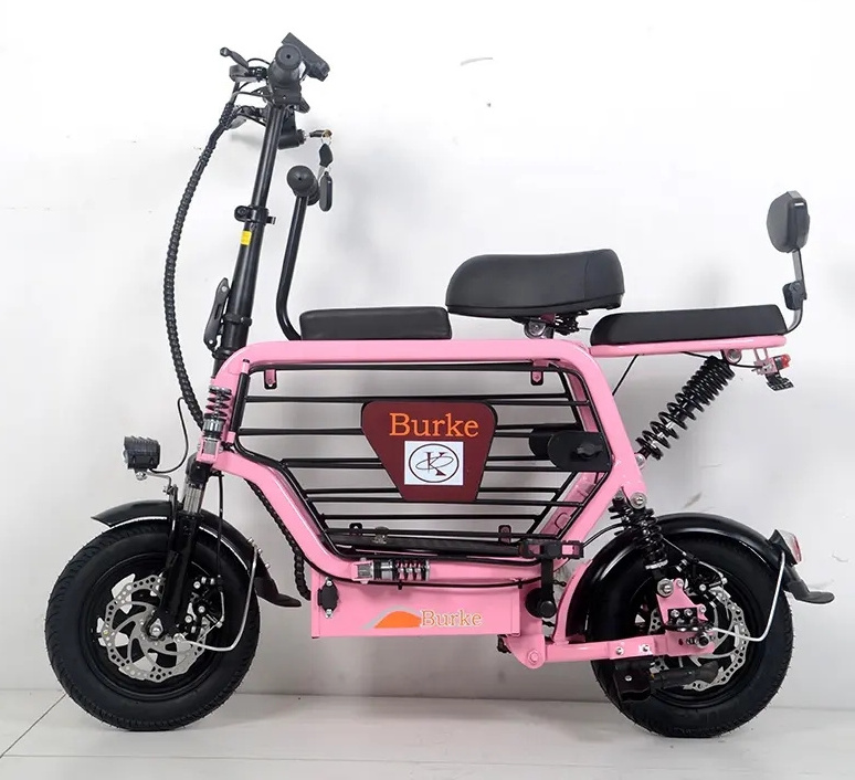 Long range Lithium Battery Electric Bicycle New Style City Electric Bike with Pet Basket