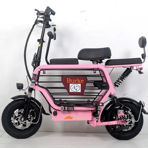 Long range Lithium Battery Electric Bicycle New Style City Electric Bike with Pet Basket