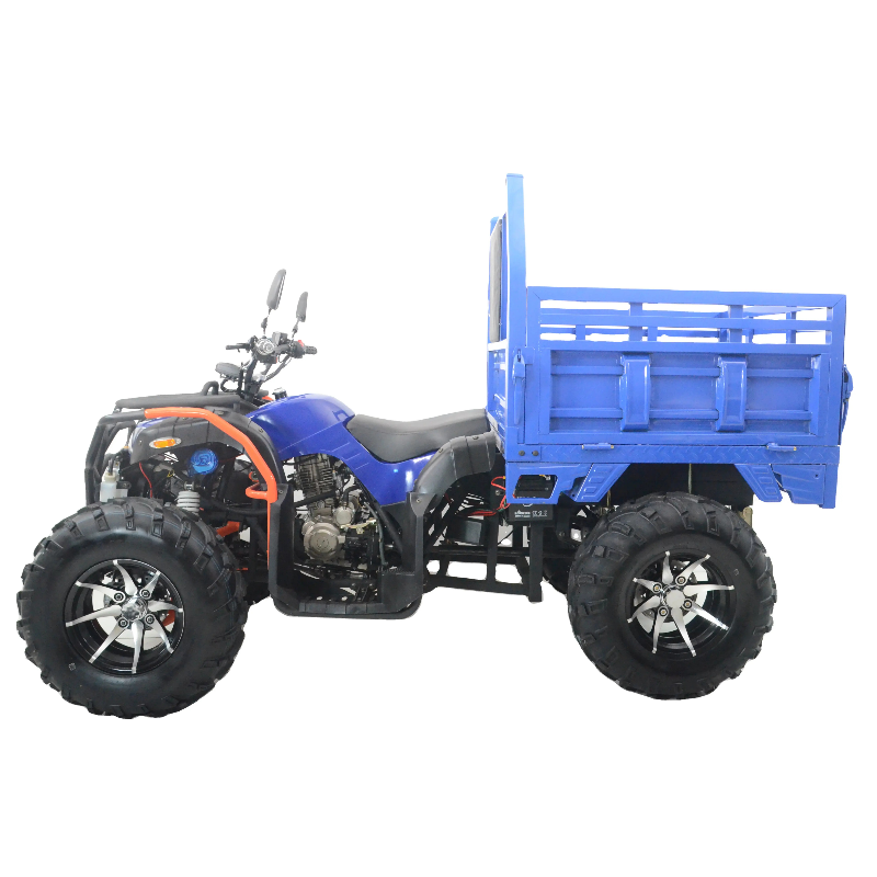 2024 ATV 250CC cargo electric tricycle